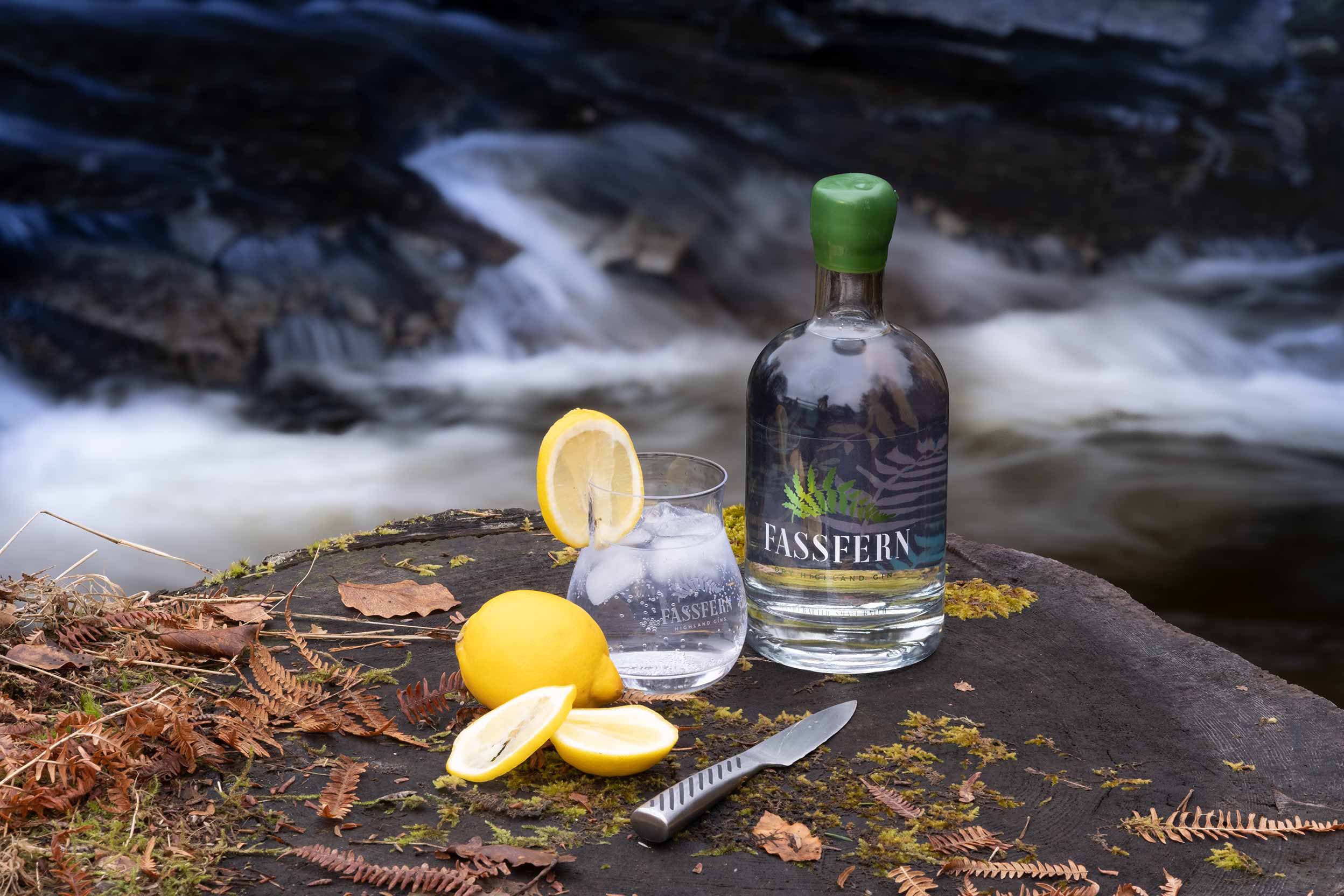 Fasffern Dry Highland Gin - Image 2