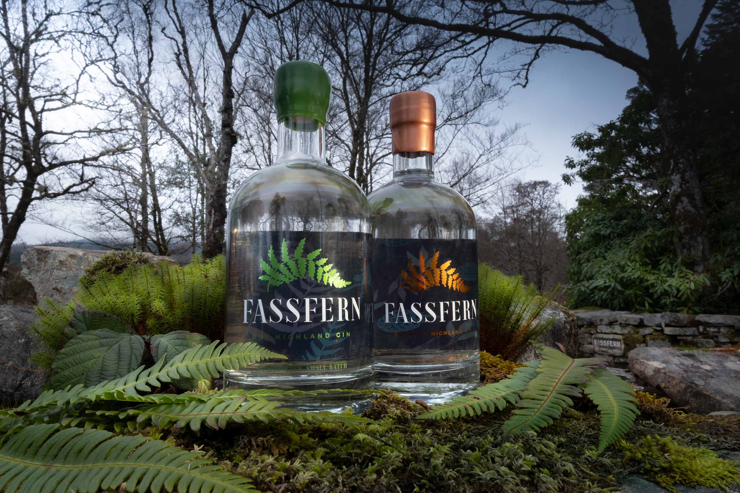 Fasffern Dry Highland Gin - Image 4