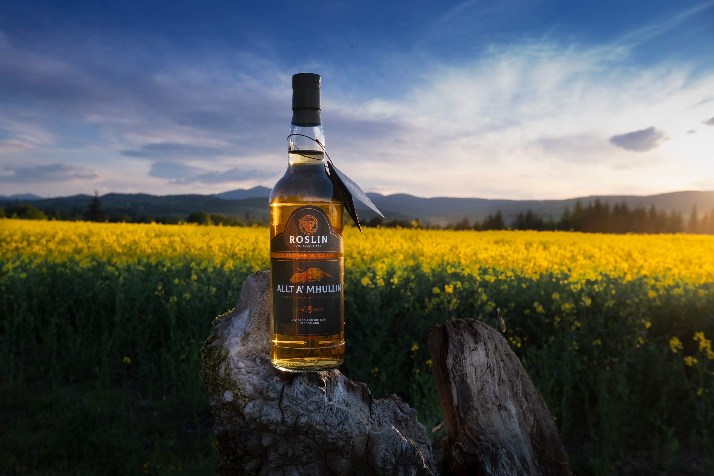 Roslin Allt A'Mhullin 15 Year Old Malt Whisky - Image 4