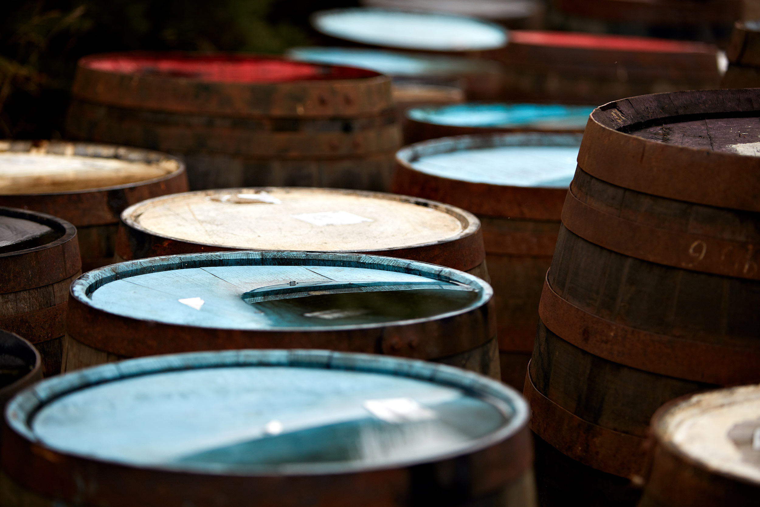 Dalmore 10 Year Old Barrel No.3318 - ABV 58 - Image 4